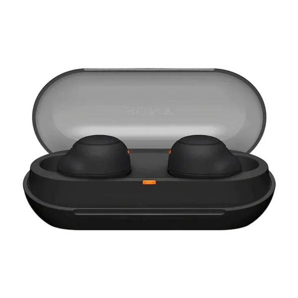 Sony WF-C500 Wireless Earbuds